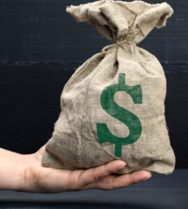 Hand holds a canvas bag full of money.